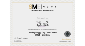 2026 Business Elite Award