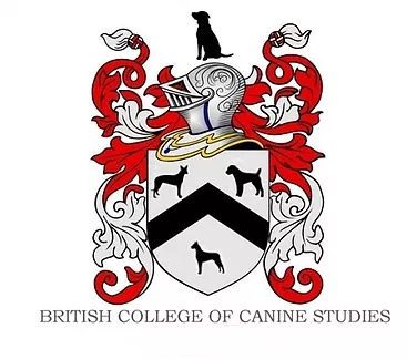 British college of canine studies